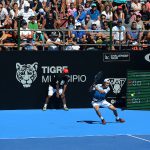 tenis en tigre