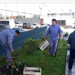 Resembrado y colocación de plantas en hospitales de Jose C Paz