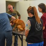 Nuevos practicantes de la UBA se suman al hospital veterinario municipal de Escobar