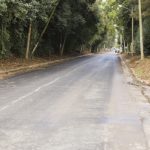 Nuevos asfaltos en calle Madreselvas