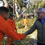 Julio Zamora y la poda de árboles en Tigre