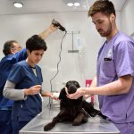 El nuevo quirófano móvil para mascotas, se suma a “Malvinas sos vos”