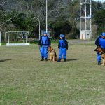 El Ministerio de Seguridad de la Provincia de Buenos Aires reconoció a la División Canina de Escobar por el esclarecimiento de un femicidio ocurrido en San Pedro