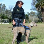 El Ministerio de Seguridad de la Provincia de Buenos Aires reconoció a la División Canina de Escobar por el esclarecimiento de un femicidio ocurrido en San Pedro