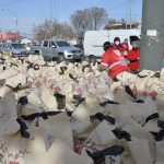 El Municipio recibió de la Fundación ChinaPass 2.400 canastas de alimentos para vecinos de Troncos del Talar