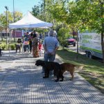 SAN FERNANDO El Municipio celebró el Día del Animal con un operativo de castración y vacunación en la Plaza San Pablo