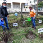 Mediante la plantación de Asclepias, San Fernando fomenta la reproducción de las mariposas monarcas