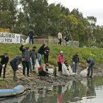 Junto a muchos jóvenes, Malena Galmarini, Prosperar y otras ong ambientales realizaron jornada de Limpieza en la Pista Nacional de Remo en Tigre