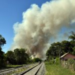 incendio en el Parque Nacional Ciervo de los Pantanos, en Campana