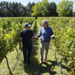 Luis Vivona participó de la Fiesta de la Vendimia bonaerense y recorrió bodegas del sur de la provincia.