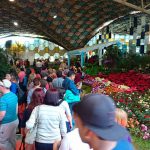 Feria de la Flor