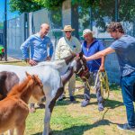 San Fernando liberó dos caballos más y entregó una moto eléctrica contra la Tracción a Sangre