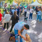 Muchas actividades por el «Día del Animal» en San Fernando