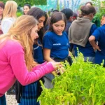 !San Fernando lanzó una nueva temporada de entrega de semillas «Huerta en Casa»